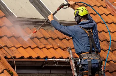 Démoussage et hydrofuge de toiture à Saint-Romain-de-Popey